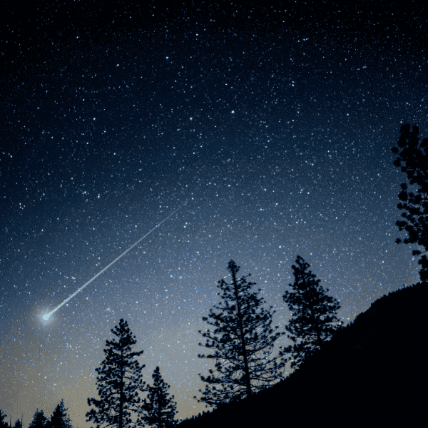 The Art of Nature - Website - Blog Perseïden